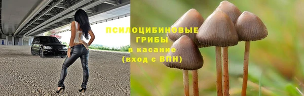 не бодяженный Лабытнанги
