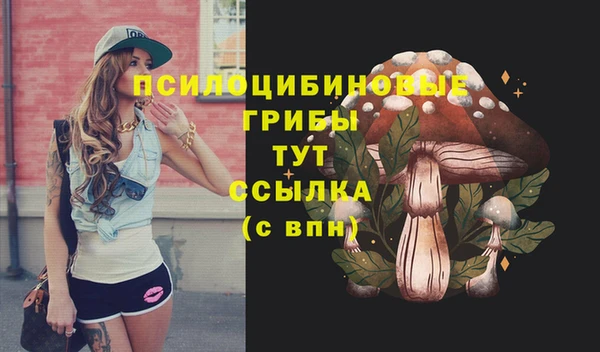 СК Абдулино