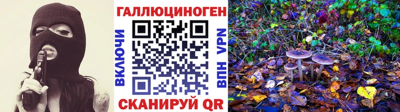 Псилоцибиновые грибы Magic Shrooms  Алагир 